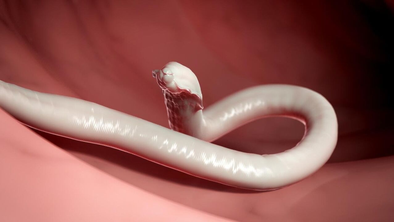 verme parassita dell'uomo
