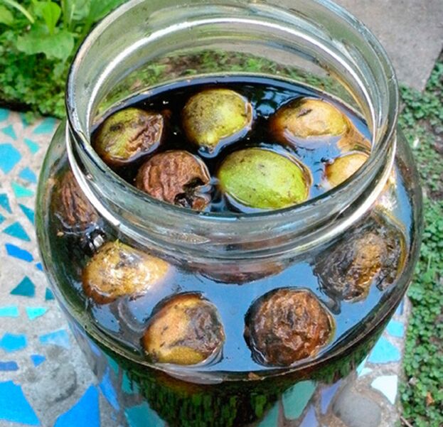 infuso di noci verdi contro i parassiti