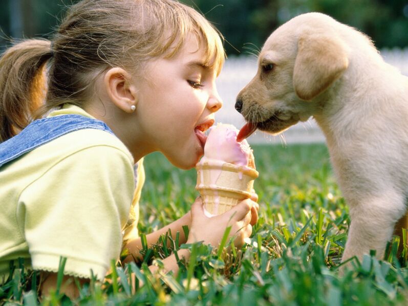 la ragazza viene infettata dai parassiti del cane